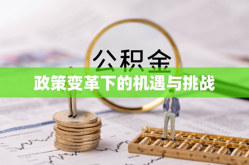 尧都政策变革下的机遇与挑战